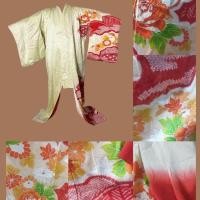 ราคา Kimono/ชุดกิโมโน ลายสวยๆ ตำหนินิดเดียว 44+/160+ (50451128781)