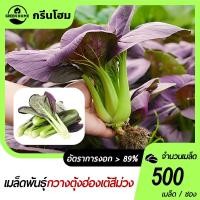 ราคา 500 เมล็ด เมล็ดพันธุ์กวางตุ้งฮ่องเต้สีม่วง เมล็ดกวางตุ้งฮ่องเต้ม่วง ผักสลัด ☘️ปลูกง่าย ผลผลิตสูง (26677262186)