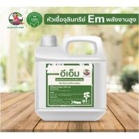 ราคา Em หัวเชื้อจุลินทรีย์ พลังงานสูง พืช สัตว์ และสิ่งแวดล้อม packสุดคุ้ม 5 ลิตร (6996938967)
