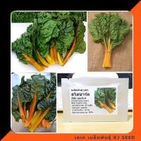 ราคา สวิสชาร์ตสีส้ม - Orange Swiss chard บรรจุชุดละ 50 เมล็ด มีคุณภาพ ของแท้ % (199397423)