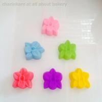ราคา พิมพ์ซิลิโคนกล้วยไม้ ขนาด 5 ซม. 12 / แพค (92576186)