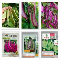 ราคา เมล็ดพันธุ์ ถั่วแปป สีเขียว ถั่วแปบ Hyacinth Bean Seed บรรจุ 5 - 25 เมล็ด ลูกดก กินดี / ถั่วแปบม่วง / เขียวขอบม่วง (42979040813)