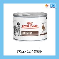 ราคา Royal Canin Recovery อาหารสำหรับสุนัขและแมว ป่วยพักฟื้น อาหารสัตว์ป่วย 195g x 12 กระป๋อง (41831749177)