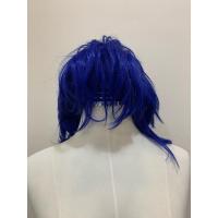 ราคา วิกผม Unisex ทรงซอยสั้น สีน้ำเงิน งานพรีเมี่ยม นำเข้าจากญี่ปุ่น (26904738712)