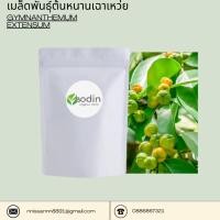 ราคา เมล็ดพันธุ์ต้นหนานเฉาเหว่ย/ป่าช้าเหงา (Gymnanthemum extensum)(บรรจุ100เมล็ด) (46007437265)