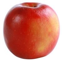 ราคา แอปเปิ้ลสตอรี Story Apple [หมายเลขบาร์โค้ด 0214689000002] สินค้าคุณภาพดีคัดสรรเพื่อคุณ (51312732081)