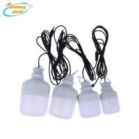 ราคา SKTH 1 ชิ้น 12 โวลต์ 5 วัตต์ 10 วัตต์ 15 วัตต์ 20 วัตต์ Led Light Ampoule Led illas หลอดไฟแบบพกพา Luminaria สีขาวฉุกเฉินเย็นสีขาว SKK (56010735401)