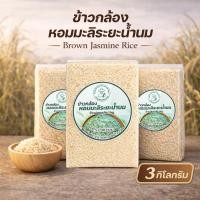 ราคา ข้าวกล้องหอมมะลิระยะน้ำนม 3 กก. Brown Jasmine Rice ข้าวกล้องหอมมะลิ ข้าวเพื่อสุขภาพ หุงนุ่ม หอม อร่อย (29844334649)