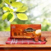 ราคา Gano Cafe Mocha กาโน มอคคา กาแฟมอคค่า (1689723635)