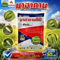 ราคา มาฮากาน (ฟิโพรนิล 80% WG) 100g #เกษตรเมืองราช #vu (45613047783)