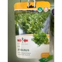 ราคา ผักชี สายสมร ตราศรแดง (22284384724)