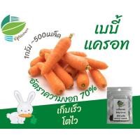 ราคา เบบี้แครอท (Baby Carrot) (8187755416)