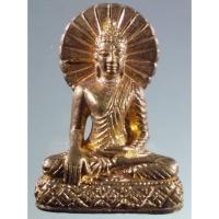 ราคา Antig Sun 195 พระพุทธเมตตา เนื้อทองสตางค์ หลวงปู่บุญ วัดทุ่งเหียง ตำบลหมอนนาง อำเภอพนัสนิคม จังหวัดชลบุรี หายาก สร้างน้ (27708129683)