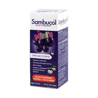 ราคา Sambucol Black Elderberry Mini's Liquid 120 ml (21893009779)