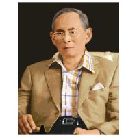 ราคา PINN SHOP ชุดปักครอสติช : ในหลวง [CX-EV-CR119] (51857685963)