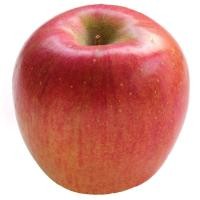 ราคา แอปเปิ้ลชินาโนะสวีท Shinano Sweet Apple [หมายเลขบาร์โค้ด 0215797000007] สินค้าคุณภาพดีคัดสรรเพื่อคุณ (43432440115)