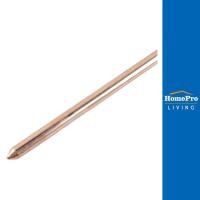 ราคา BT กราวด์หรอดชุบ 3/8 นิ้ว x 1 เมตร จัดส่งโดย HomePro (24169496643)
