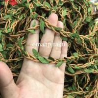 ราคา 1 เมตร - เชือกจูงใบไม้ (49304845317)