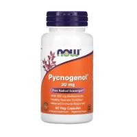 ราคา NOW Foods, Pycnogenol, 30 mg, 60 Veg Capsules (26634984237)