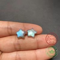 ราคา รับประกัน 3 ปี Casualfashion ต่างหูดาว Labradorite ธรรมชาติ ต่างหูเงิน 925 พร้อมปลั๊กหูเงิน 925 (54161386669)