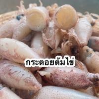 ราคา กระตอยต้มไข่ ปลาหมึกตากแห้ง อาหารทะเลแห้ง อาหารทะเลแปรรูป - Pailin seafood (9293944834)