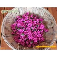 ราคา ดอกกุหลาบบานจิ๋ว ดอกไม้ประดิษฐ์ดินไทย งานแฮนเมดด์ (2303088731)