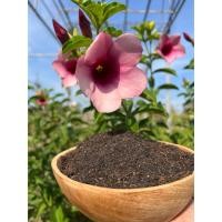 ราคา POTTING SOIL ดินบานบุรี ดินปลูกบานบุรี (22225342230)