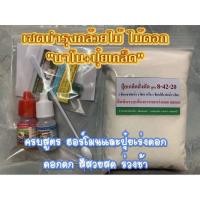 ราคา ปุ๋ยฉีดพ่นกล้วยไม้ ไม้ดอก ชุดนาโนบำรุงพืชชุดจิ๋ว+ปุ๋ยเกล็ดสูตรดอก ใช้ฉีดพ่นกล้วยไม้ ไม้ดอกทุกชนิด ดอกดก สีสวยสด ร่วงช้า (6479332973)