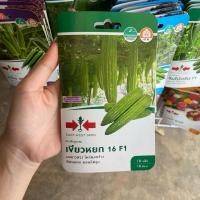 ราคา มะระจีนลูกผสม (เขียวหยก 16 F1) ตราศรแดง (28018119645)