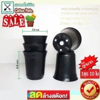 ราคา กระถางแคคตัส ปากแตรทรงญี่ปุ่น ขนาด 2.5 นิ้ว สีดำ 1 ชุด 10 ใบ กระถางใส่ไม้อวบน้ำทรงญี่ปุ่น กระถางใส่ต้นไม้ กระถางพลาสติก (10524367080)
