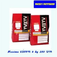 ราคา Maxima สุนัขโต 15 kg (1398930529)