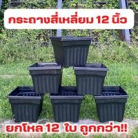 ราคา กระถางสี่เหลี่ยม กระถางกุหลาบ 12 นิ้ว ยกโหลสุดคุ้ม 12 ใบ สีดำ (22051037772)