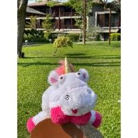 ราคา fluffy Unicorn ม้ามินเนี่ยน (18181258569)
