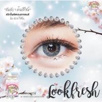ราคา Look Fresh Gray มินิ สีเทา ทรีโทน เทา เทาอมฟ้า Sweety+ Contact Lens Bigeyes คอนแทคเลนส์ แฟชั่น สายตาปกติ Lookfresh (6960644764)