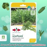ราคา คึ่นช่าย นวลจันทร์ ขึ้นฉ่าย ศรแดง เมล็ดพันธุ์คึ่นช่าย (8812168811)