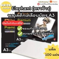 ราคา (USP)แท้พร้อมส่ง(แพ็ค100แผ่น) Elephant ตราช้าง พลาสติกเคลือบบัตร A3 แผ่นเคลือบ PREMIUM 125ไมครอน เคลือบบัตร พลาสติก A4 (40281867577)