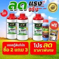 ราคา [โปรดินเน่า3ขวด+ปราบมาร1แถมฮิวมิค1] “ดินเน่า” กู้ชีพดินเสื่อม เปลี่ยนดินเสีย เป็นดินดี ด้วยดินเน่า!! (51300577099)