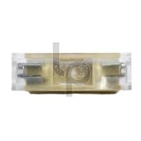 ราคา กระบอกฟิวส์ 30 mm. 10A 250V 2 ขา ติดแท่น (6856941189)