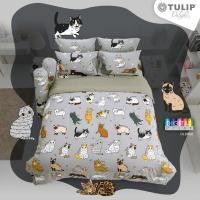 ราคา ชุดผ้าปูที่นอน+ผ้านวม ทูนหัวของบ่าว ลิขสิทธิ์แท้ Tulipลายแมว น่ารัก แบรนด์ทิวลิป ทาสแมว bedsheet ชุดเครื่องนอน cat (11153007226)