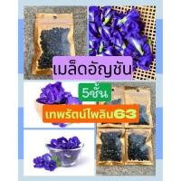 ราคา เมล็ดอัญชันดอกซ้อน5ชั้น เทพรัตน์ไพลิน63เกรดA (51455066044)