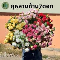 ราคา กุหลาบ กุหลาบช่อ ดอกไม้ประดิษฐ์กุหลาบ 1ช่อ7ดอก (26162414618)