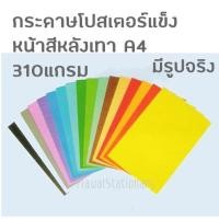 ราคา (แพ็ค5แผ่น) กระดาษโปสเตอร์แข็ง A4 หน้าสี หลังเทา 310 แกรม (3549331162)