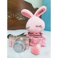 ราคา PANASONIC​ LUMIX​ GF10 (19017177270)