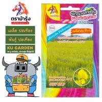 ราคา ขายปลีก เมล็ดพันธุ์ ผัก *แพ็ค5ซอง*ตราม้ารุ้ง Z194 เมล็ดปอเทือง เมล็ดพันธุ์ เมล็ดผัก ผักซอง ม้ารุ้ง ผักสวนครัว (29893412922)