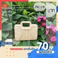 ราคา Tipfyshop-กระเป๋าผักตบชวา ทรงซาร่าหูเหลี่ยมเล็ก (1680138217)