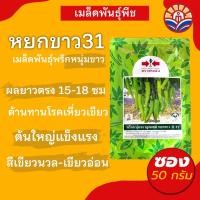 ราคา ส่งด่วน! พริกยำขาว พริกหนุ่ม หยกขาว31 ขนาด50กรัม ทนโรค เหี่ยวเขียว เเข็งแรง ผลผลิตดี สีสวย เรียบ มันเงา (41962244907)