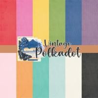 ราคา กระดาษ SCRAPBOOK | กระดาษ SCRAPBOOK | กระดาษงานฝีมือ | พล.ต.ต.วินเทจ | SIMPLE STORIES - 04c (57102153574)