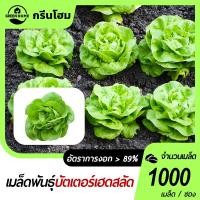 ราคา บัตเตอร์เฮดเมล็ดผักสลัดบัตเตอร์เฮด 2000 เมล็ด☘️ปลูกง่าย ขึ้นไว ใส่ผักสลัดอร่อย (26124679080)