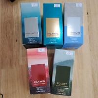 ราคา Bath & Body Works Cologne กลิ่น Forest , Atlantic สำหรับคุณผู้ชาย ขนาด 100 ml ของแท้ฉล่ากไทย (14849316243)