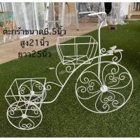 ราคา จักรยาน 3 ตะกร้าเหลี่ยม 3ตะกร้ากลม จักรยานแต่งสวน (29112369785)